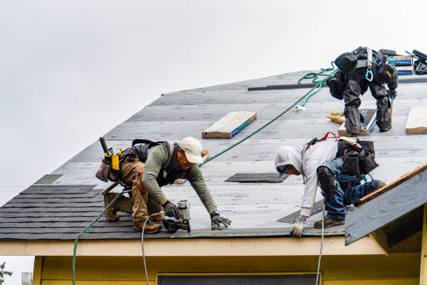 Professional Roofing technician working in Hume, VA